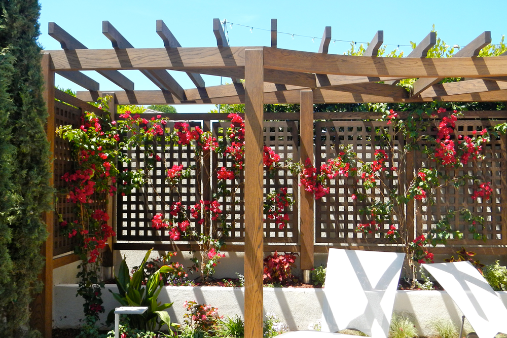 custom made wooden pergola